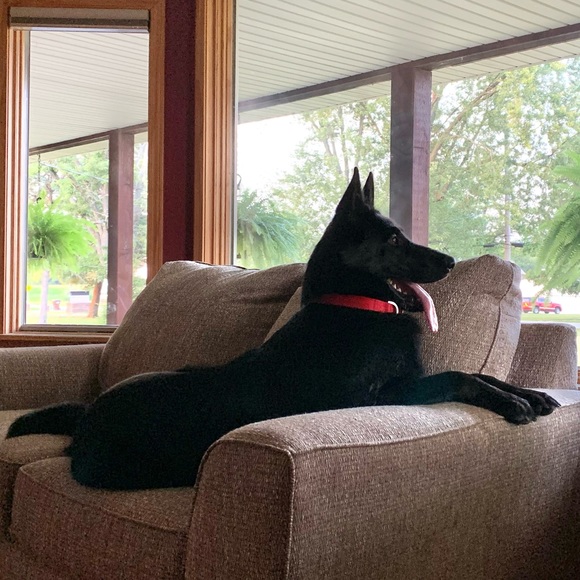 Meet your Posher, Rachel - Picture 5 of 15